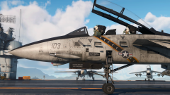 F-14A Tomcat. Игровой скриншот № 2.png