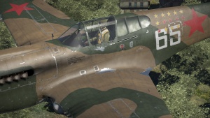 P-40E RU Closeup.jpg
