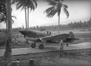 P-40 Milne.jpg