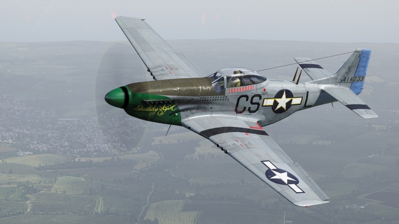 P-51D-10 в небе.jpg