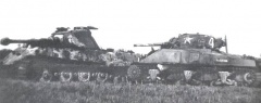 Tiger II and M4 Sherman.jpg