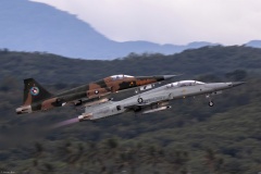 F-5E Pair Take Off.jpg