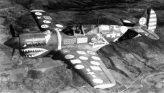 P-40e 4.png