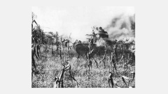 M2A2 учения Arkansas 1941 едет через дым.jpg