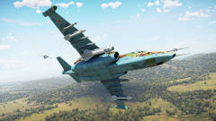 Су-25БМ. Игровой скриншот № 1.png