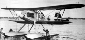 He 51 B-2 H W.jpg