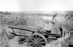 3pdrH 47-мм пушка «Гочкисс» на полевом лафете. НП Кренке «Фронтовой альбом 1914-1917».jpg