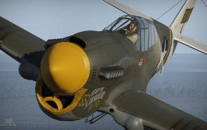 P-40e nose.jpg