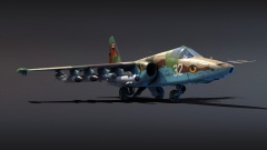 Су-25БМ. Камуфляж Беларусии.jpg