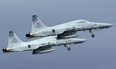 F-5E Pair flight.jpg