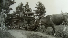 M2A2 заблокирован коровой.jpg