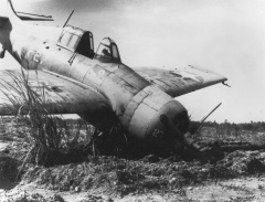 F4F-4H 3 Damaged F4F-4 Wildcat of VF-11 on Guadalcanal 1943.jpg