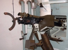 MG 37(t).jpg