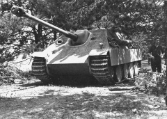 Jagdpanzer V Jagdpanther - photo.jpg